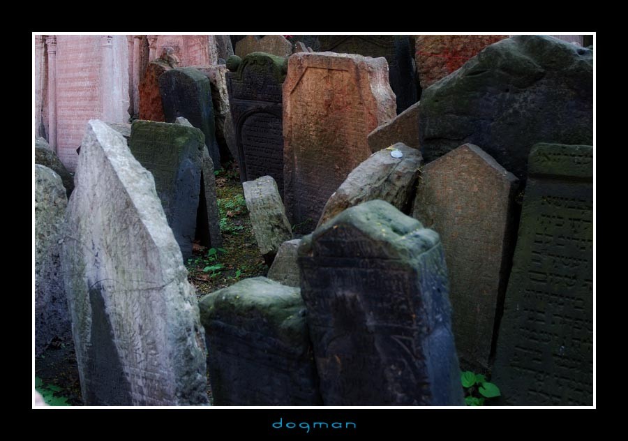 cemetery26