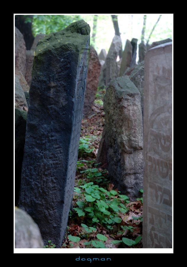 cemetery29