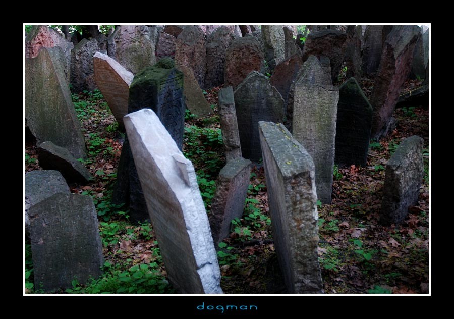 cemetery30