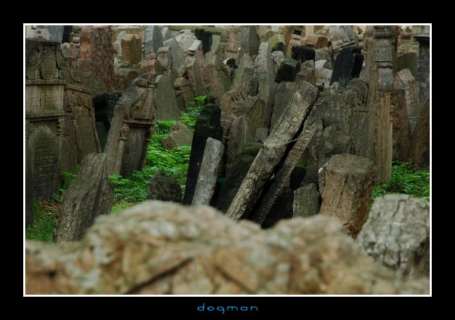 cemetery31