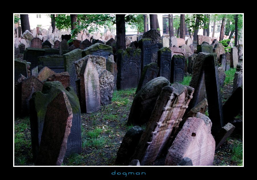 cemetery35