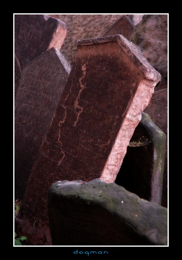 cemetery41