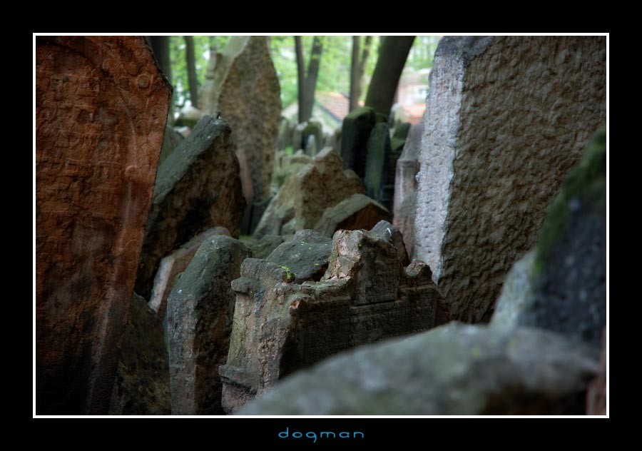 cemetery46
