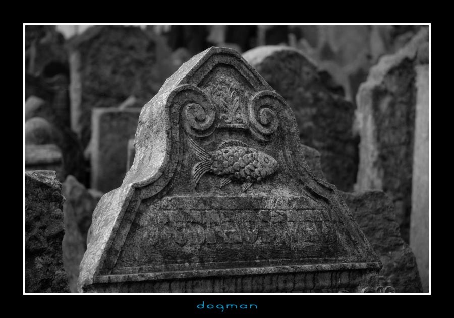 cemetery48