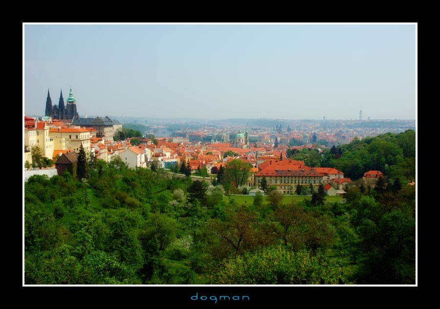 prague50