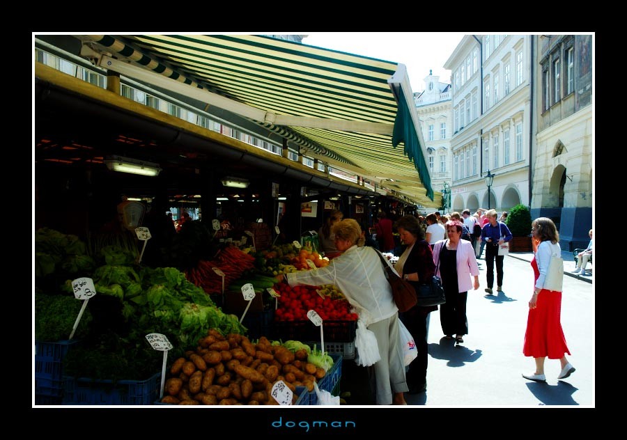 prague77