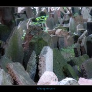 cemetery01