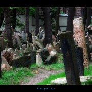 cemetery06