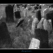 cemetery10