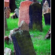 cemetery11