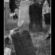 cemetery12