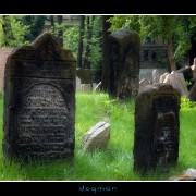 cemetery15