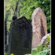 cemetery16