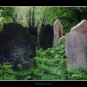 cemetery18
