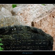 cemetery19