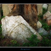 cemetery20