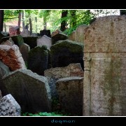 cemetery25