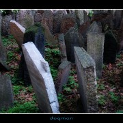 cemetery30