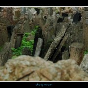 cemetery31