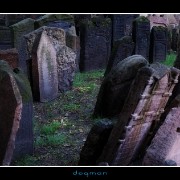 cemetery37