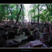 cemetery42