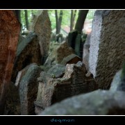 cemetery46