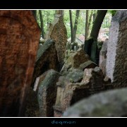 cemetery47
