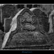 cemetery48