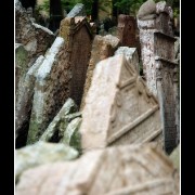 cemetery49