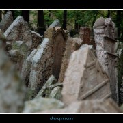 cemetery51