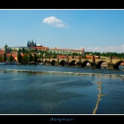 prague75