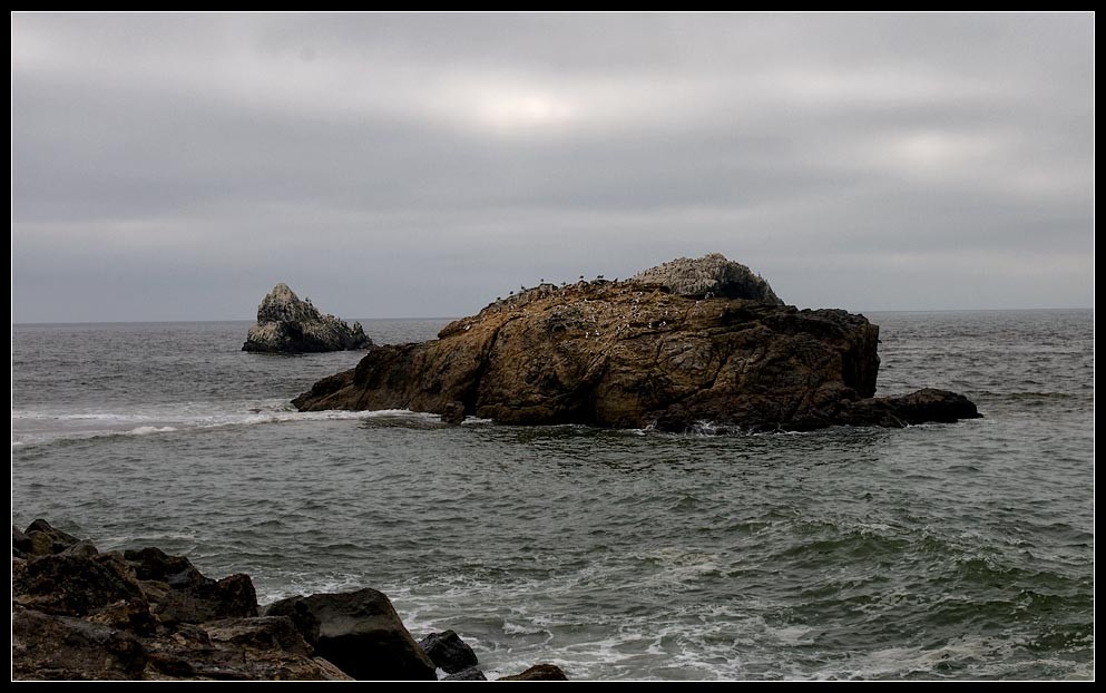 sanfran22