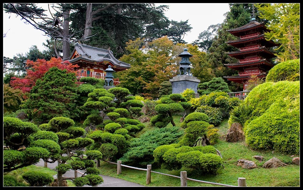 sfgarden02