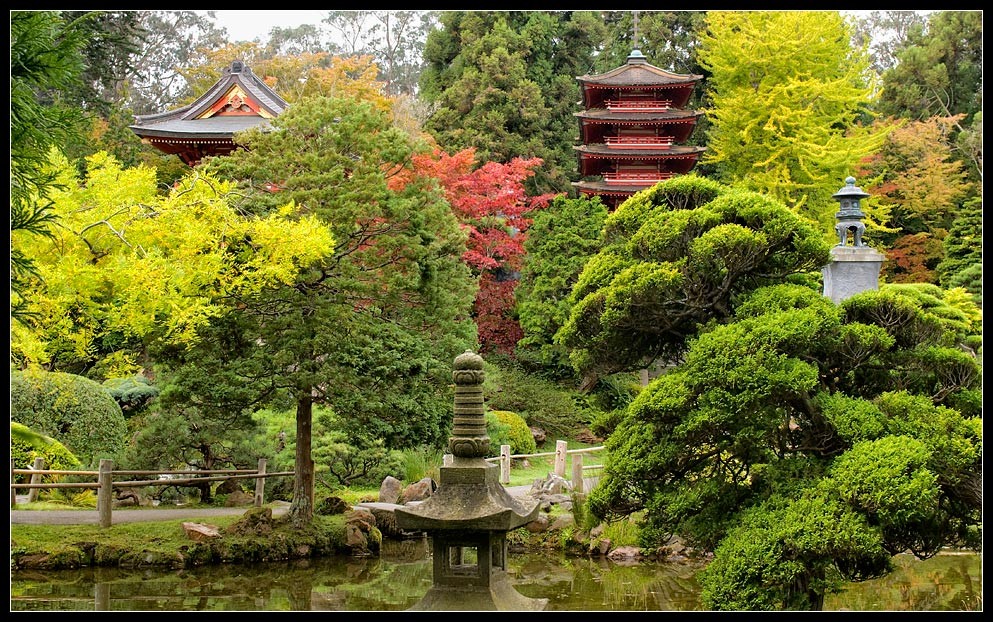 sfgarden03