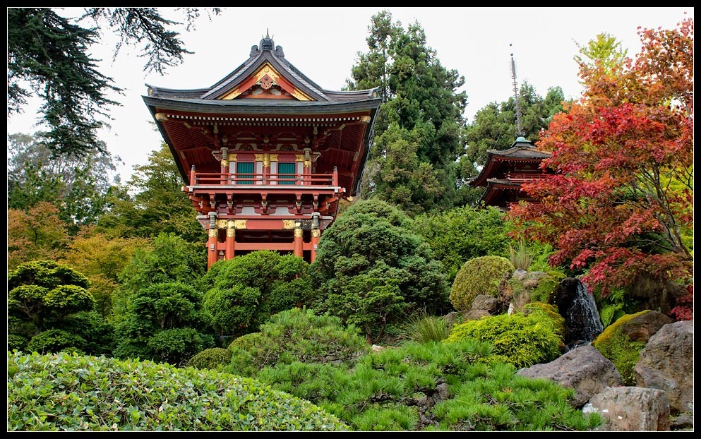 sfgarden04
