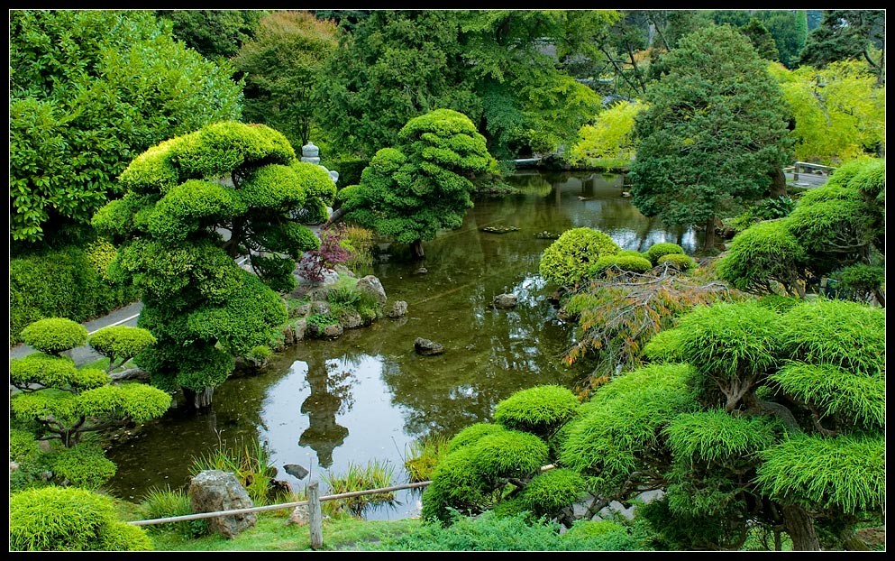 sfgarden06