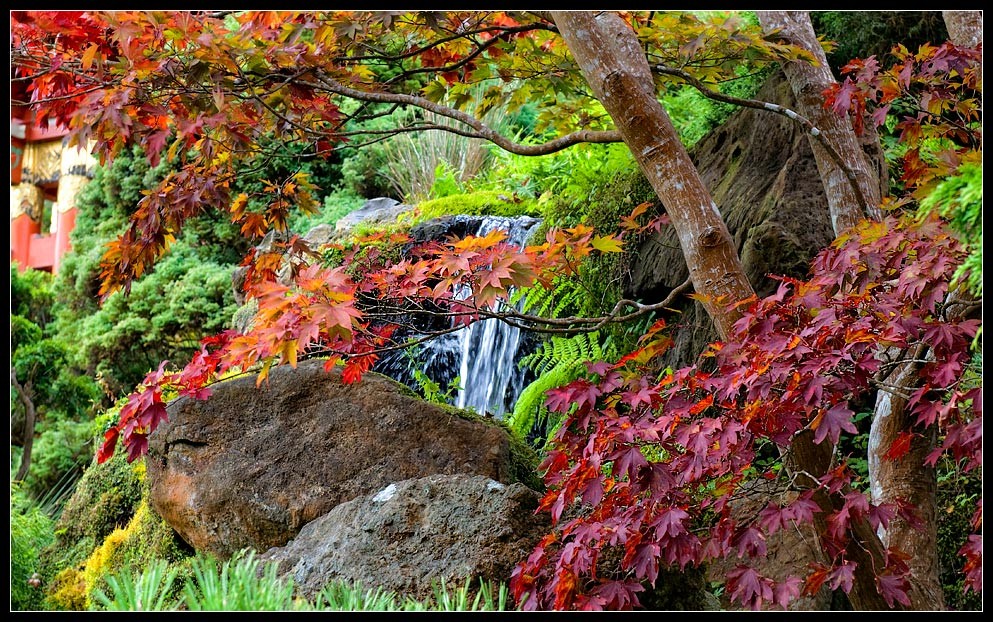 sfgarden07