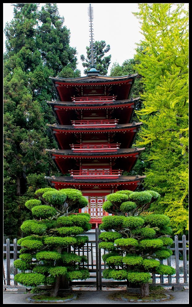 sfgarden08