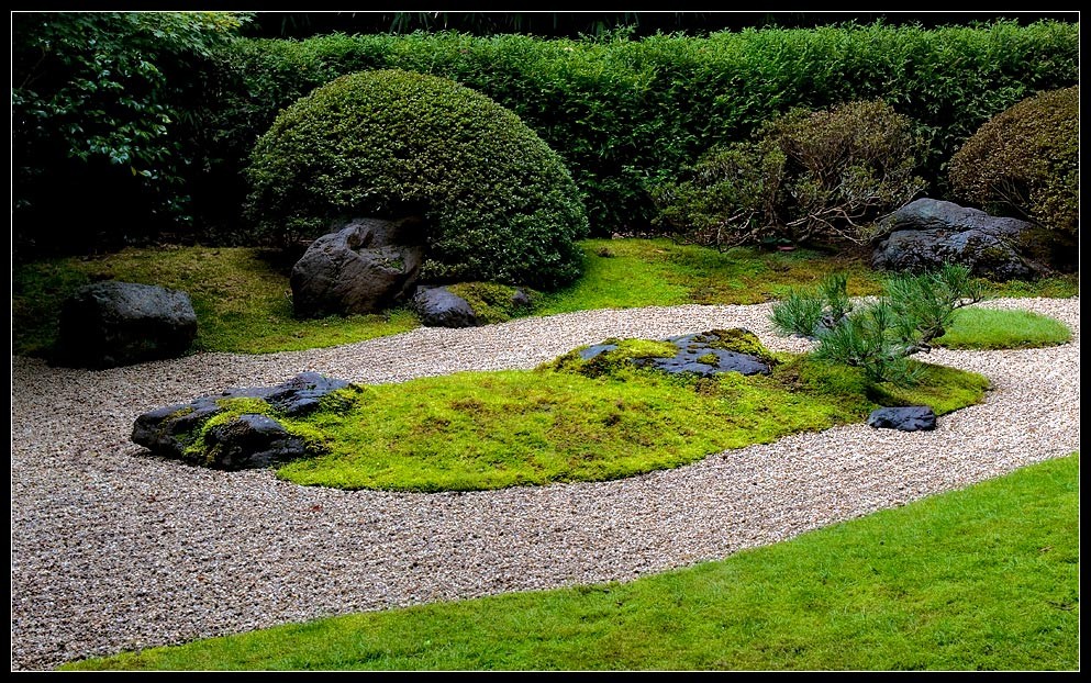 sfgarden19