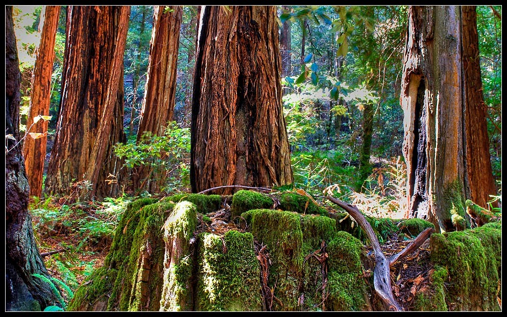 sfhdr08