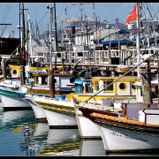 sanfran13
