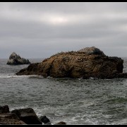 sanfran22