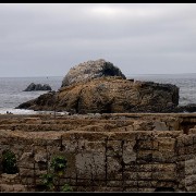sanfran25