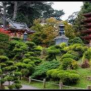 sfgarden02