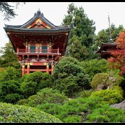 sfgarden04