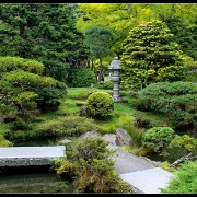 sfgarden05