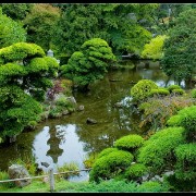 sfgarden06
