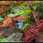 sfgarden07