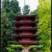 sfgarden08
