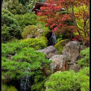 sfgarden11